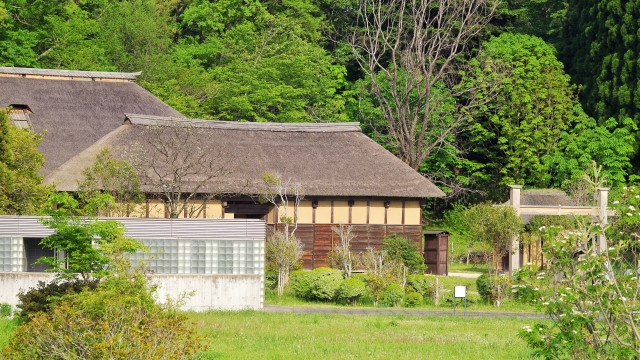 岡山　小屋　解体