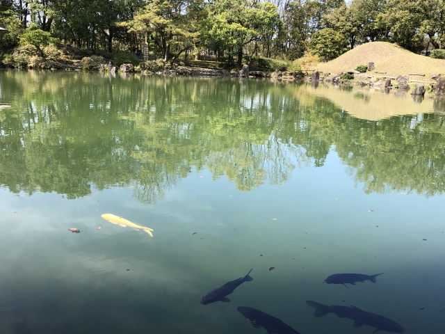 岡山　ため池　解体